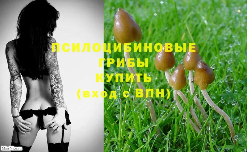 Галлюциногенные грибы MAGIC MUSHROOMS  Сибай 